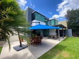 3 Habitación Casa en venta en Tumbaco, Pichincha, Tumbaco