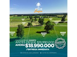  Terreno (Parcela) en venta en Los Muermos, Llanquihue, Los Muermos