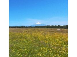  Terreno (Parcela) en venta en Puerto Octay, Osorno, Puerto Octay