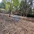  Terreno (Parcela) en venta en Universidad de la Frontera Campus Pucón, Pucón, Pucón