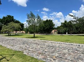 Terrain à vendre à Atlixco, Puebla, Atlixco, Puebla