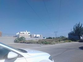  Grundstück zu verkaufen in Irapuato, Guanajuato, Irapuato