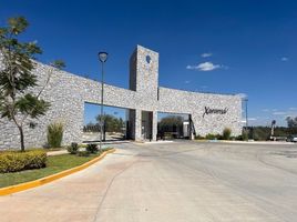 在Aguascalientes出售的 土地, Aguascalientes, Aguascalientes