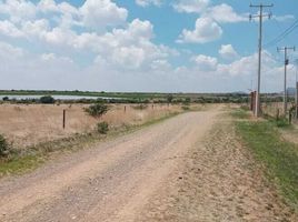  Land for sale in Asientos, Aguascalientes, Asientos