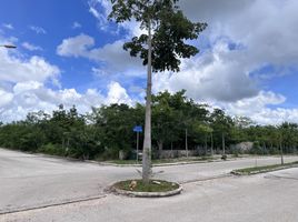 Terrain à vendre à Conkal, Yucatan, Conkal