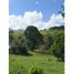  Land for sale in Yotoco, Valle Del Cauca, Yotoco