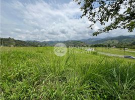  Grundstück zu verkaufen in Manizales, Caldas, Manizales, Caldas