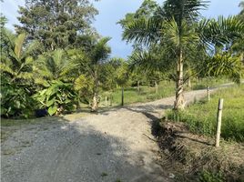  Grundstück zu verkaufen in Manizales, Caldas, Manizales