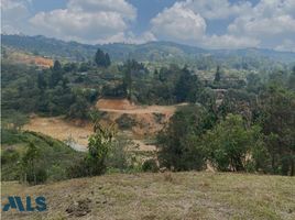  Terreno (Parcela) en venta en Guarne, Antioquia, Guarne