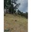  Land for sale in Guarne, Antioquia, Guarne