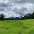  Grundstück zu verkaufen in Rionegro, Antioquia, Rionegro, Antioquia, Kolumbien