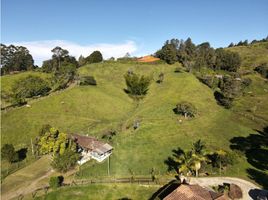  Land for sale in El Carmen De Viboral, Antioquia, El Carmen De Viboral