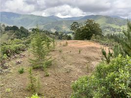  Grundstück zu verkaufen in Retiro, Antioquia, Retiro