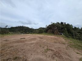 Terrain à vendre à Envigado, Antioquia, Envigado
