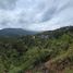 Terrain à vendre à Envigado, Antioquia, Envigado