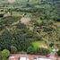  Land for sale in Chiquilistlan, Jalisco, Chiquilistlan