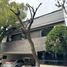 4 Habitación Casa en venta en Alvaro Obregon, Ciudad de México, Alvaro Obregon