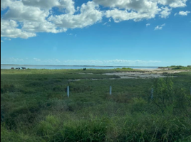  Land for sale in Matamoros, Tamaulipas, Matamoros