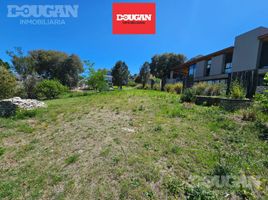 Land for sale in Junin, San Luis, Junin, San Luis