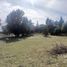  Land for sale in Rio Negro, Bariloche, Rio Negro