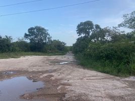 在Progreso, Yucatan出租的 土地, Progreso