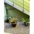 1 Bedroom Apartment for rent in Cajeme, Sonora, Cajeme