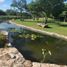  Land for sale in Merida, Yucatan, Merida, Yucatan