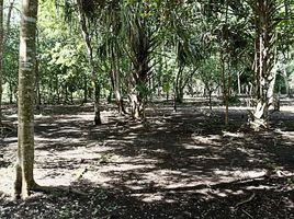 Grundstück zu verkaufen in Othon P Blanco, Quintana Roo, Othon P Blanco