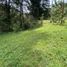  Land for sale in Rionegro, Antioquia, Rionegro