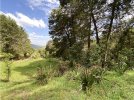  Land for sale in Rionegro, Antioquia, Rionegro