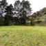  Land for sale in Rionegro, Antioquia, Rionegro