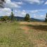  Land for sale in Rionegro, Antioquia, Rionegro