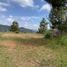  Land for sale in Rionegro, Antioquia, Rionegro