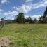  Land for sale in Rionegro, Antioquia, Rionegro