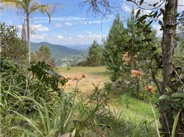  Land for sale in Rionegro, Antioquia, Rionegro