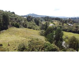  Land for sale in Rionegro, Antioquia, Rionegro, Antioquia