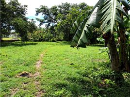  Land for sale in Chame, Panama Oeste, Buenos Aires, Chame