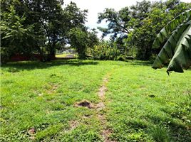  Grundstück zu verkaufen in Chame, Panama Oeste, Buenos Aires