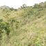  Land for sale in Manizales, Caldas, Manizales