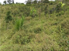  Land for sale in Manizales, Caldas, Manizales