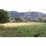  Land for sale in Ebejico, Antioquia, Ebejico