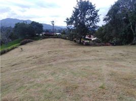  Land for sale in El Carmen De Viboral, Antioquia, El Carmen De Viboral