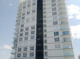 Zapopan, 할리 스코PropertyTypeNameBedroom, Zapopan