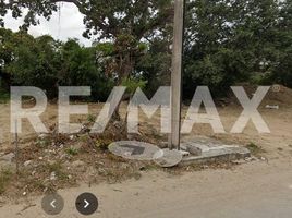  Terreno (Parcela) en alquiler en Altamira, Tamaulipas, Altamira, Tamaulipas