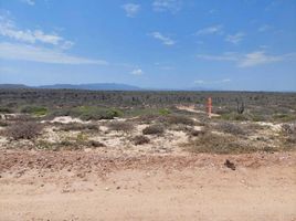  Grundstück zu verkaufen in La Paz, Baja California Sur, La Paz