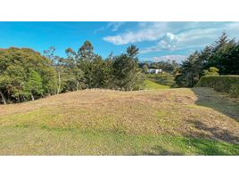  Terreno (Parcela) en venta en El Carmen De Viboral, Antioquia, El Carmen De Viboral