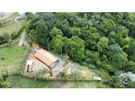 7 Bedroom House for sale in Pereira, Risaralda, Pereira