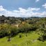  Land for sale in Rionegro, Antioquia, Rionegro