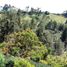  Land for sale in Rionegro, Antioquia, Rionegro