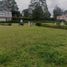  Land for sale in Rionegro, Antioquia, Rionegro